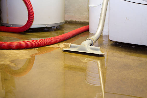 Reliable Darien Downtown, CT Water damage restoration Solutions